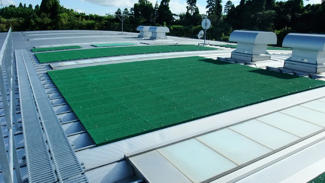Moss Coat Panels on the Roof of Togane Technical Center