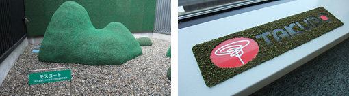 Because of coating, you can fit moss even on a complicated surface.